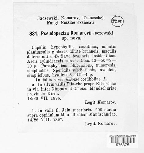 Pseudopeziza komarovii image